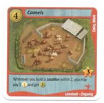 Fields of Green: Camels