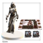 Tainted Grail: La Chute d'Avalon – Niamh
