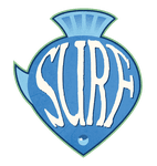 Village Pillage: Surf