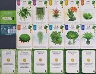 Verdant: Mini-extension Plantes sans pot + cartes Objectif