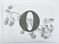 Meadow: Envelope O