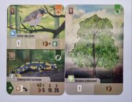 Forest Shuffle: Cartes promo Hobby Next