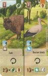 Leśne Rozdanie: Żubr / Bocian biały Promo Card